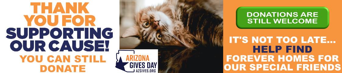 Support us on AZ Gives Day