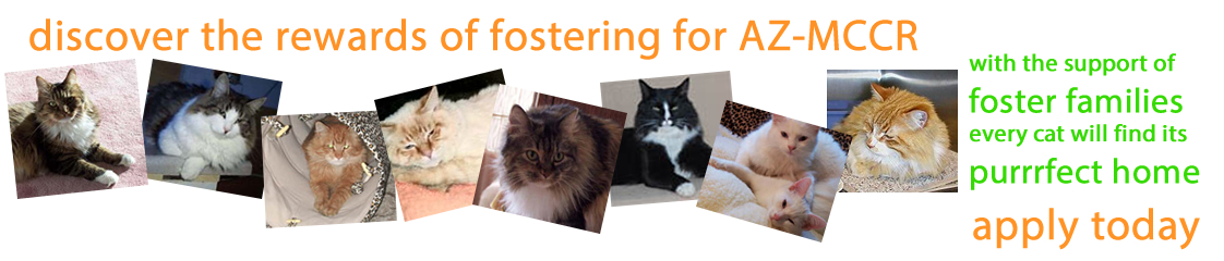 support us - foster