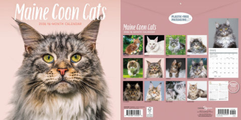 AZMCCR calendar by Carousel Calendars