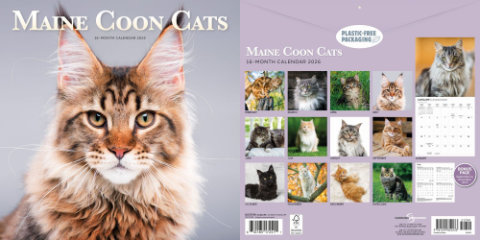 AZMCCR calendar by Carousel Calendars