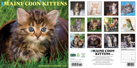 AZMCCR kittens calendar by Willow Creek